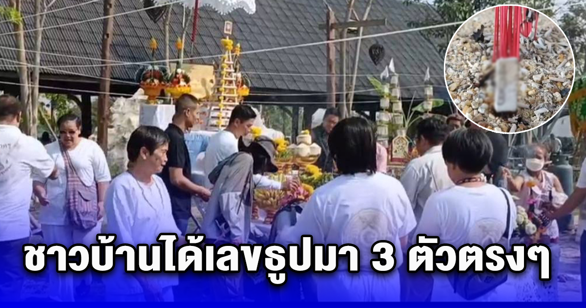 อัศจรรย์ขุดพบต้นตะเคียนทองมากกว่า 1000 ต้น ครั้งยิ่งใหญ่ที่เยอะที่สุดในโลก ชาวบ้านได้เลขธูปมา 3 ตัวตรงๆ