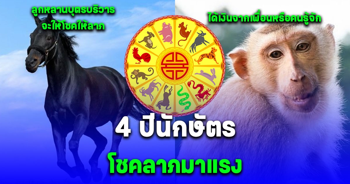 ข่าวดี 4 ปีนักษัตร โชคลาภมาแรง ดวงการเงินดีมีคนสนับสนุน