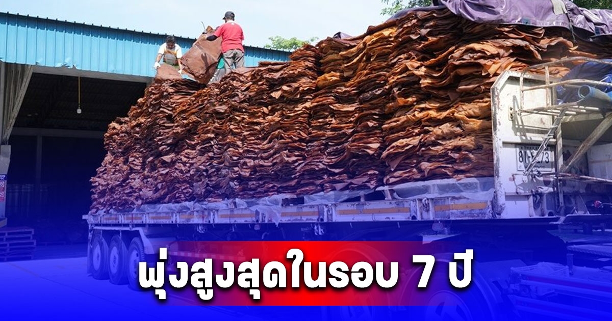 แรงไม่หยุด ยางพาราพุ่งสูงสุดในรอบ 7 ปี