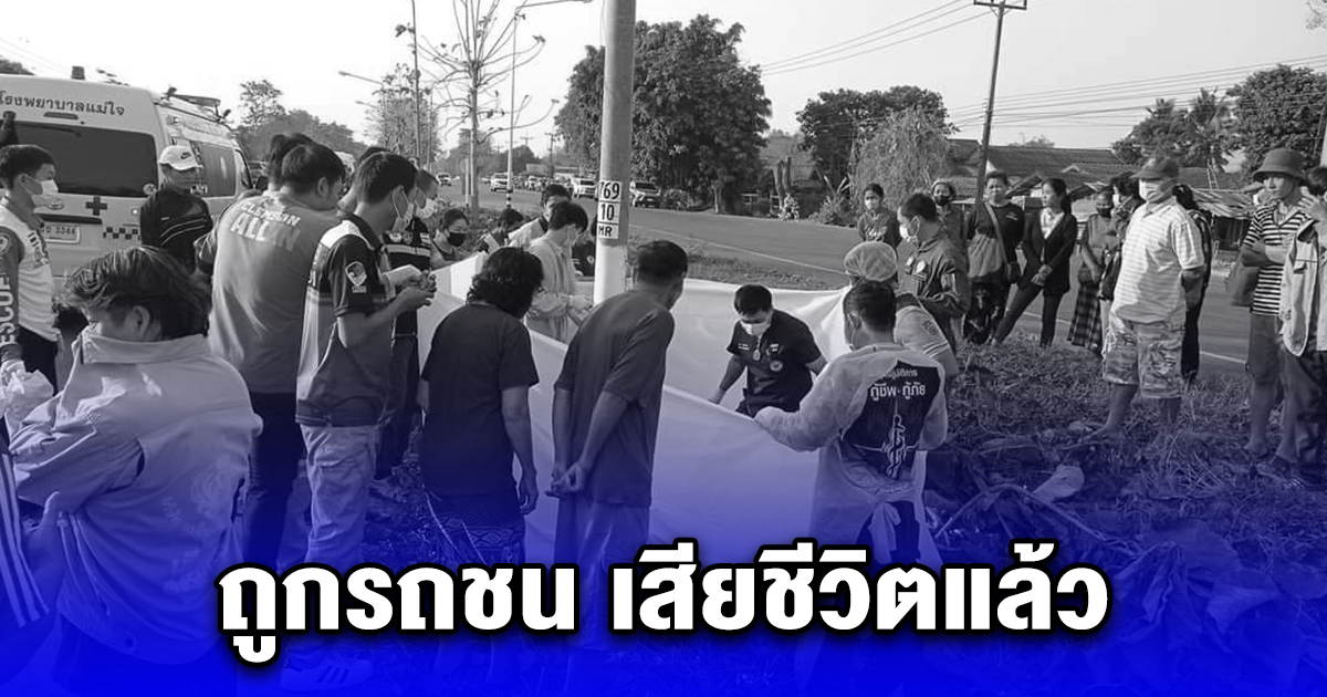 สุดสลด ยายปั่นจักรยานข้ามถนนถูกรถ เฉี่ยวชนดับกลางถนน