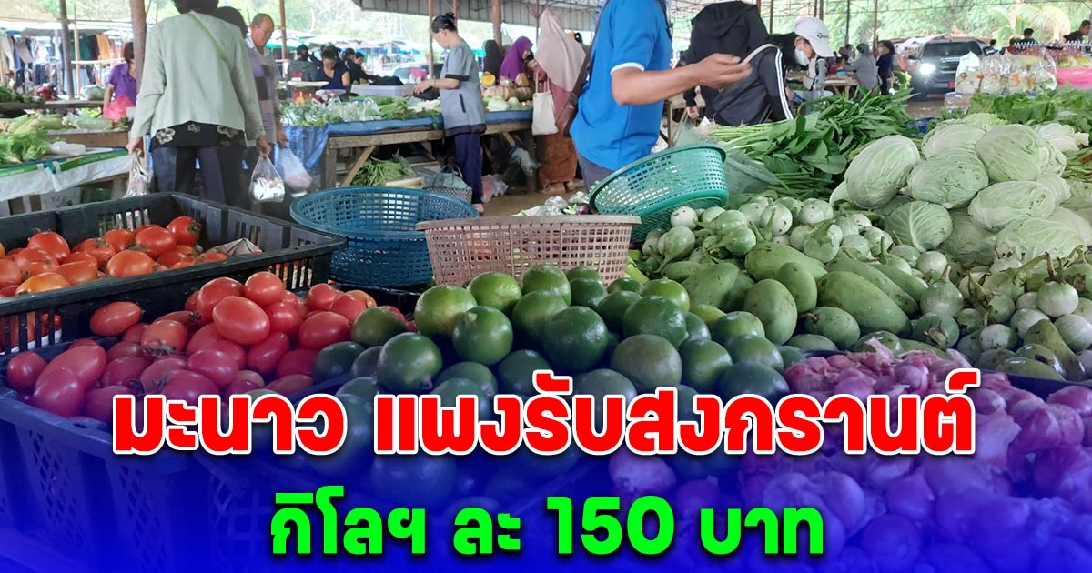 อากาศร้อนจัด มะนาว แพงรับสงกรานต์ พุ่ง กก.ละ 150 บาท