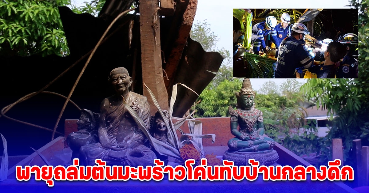 พายุถล่มเพชรบูรณ์ ต้นมะพร้าวโค่นทับบ้านกลางดึก เจ้าตัวเผยนาทีพ่อแม่ลูกรอดหวุดหวิด