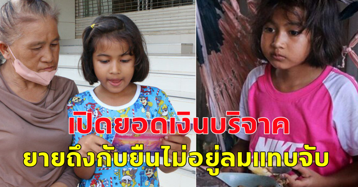 เปิดจำนวนเงินบริจาค ด.ญ.ลูกครึ่งปั่น2ล้อไปขอข้าววัดกินประทังชีวิต