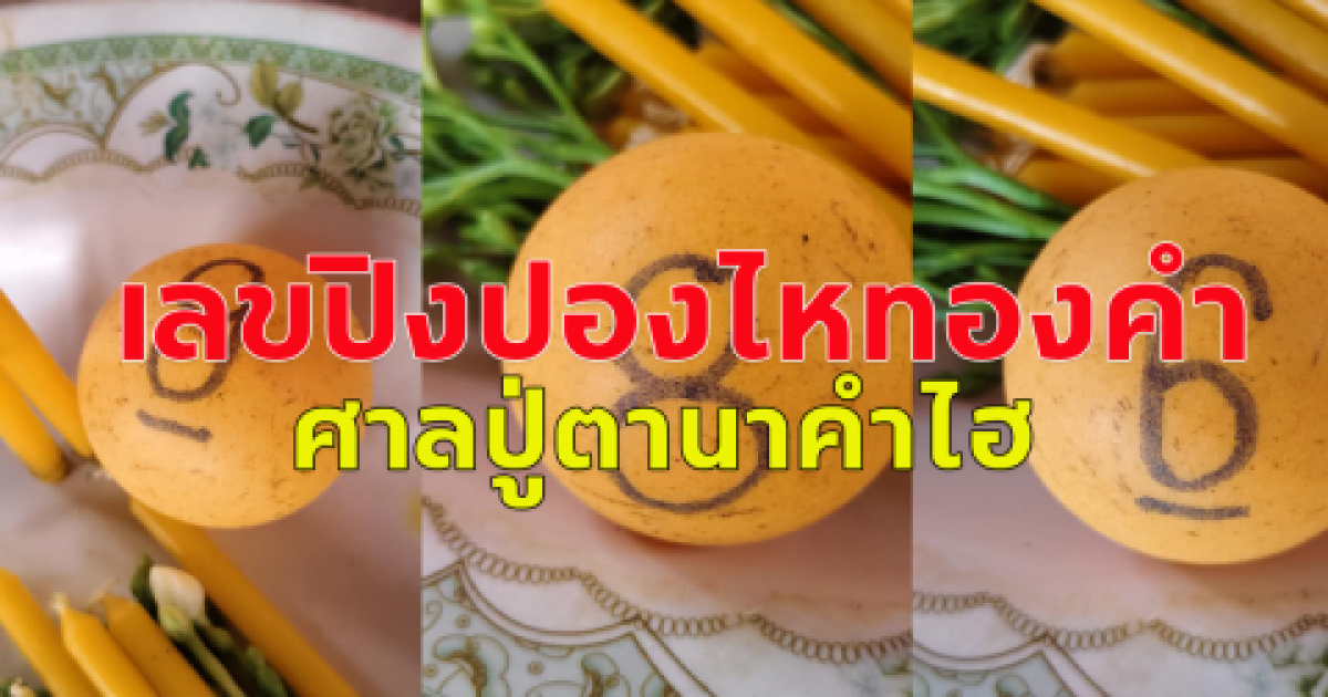 เลขปิงปองไหทองคำ ศาลปู่ตานาคำไฮ