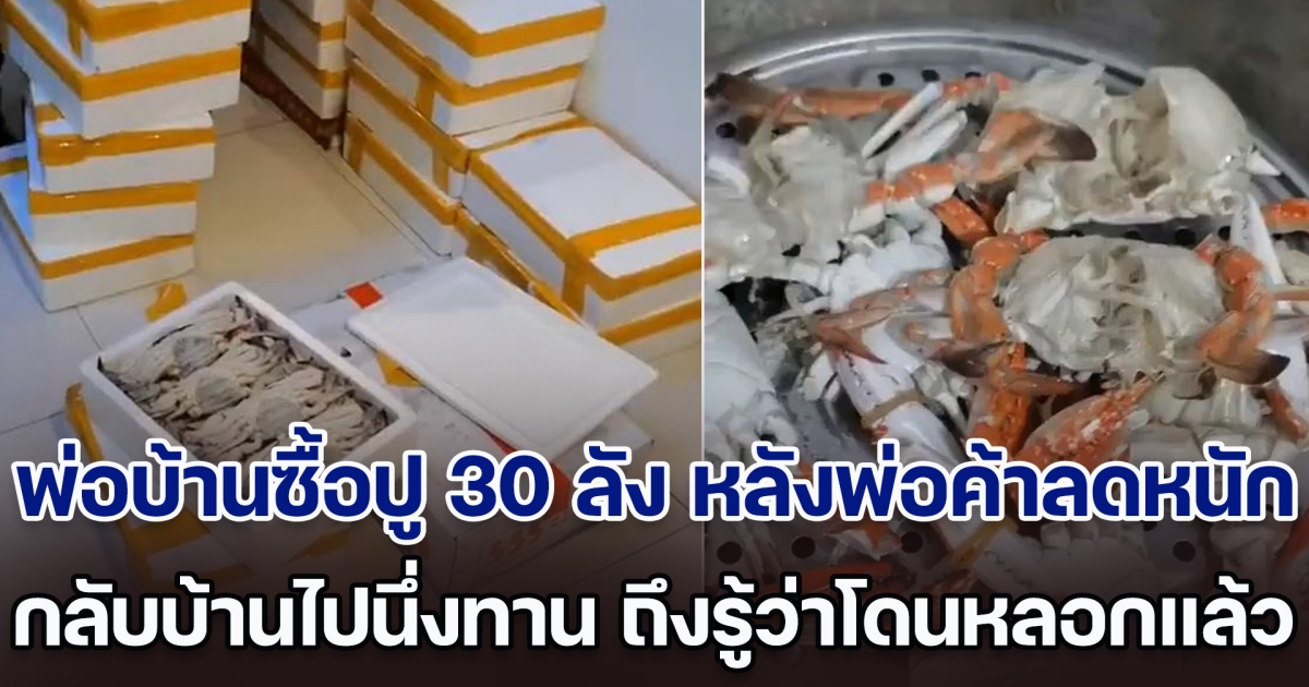 นึกว่าคุ้ม! พ่อบ้านซื้อปู 30 ลัง หลังพ่อค้าลดราคาแบบจัดหนัก กลับบ้านไปนึ่งทาน ถึงกับหน้าชา โดนหลอกเต็ม ๆ (ตปท.)