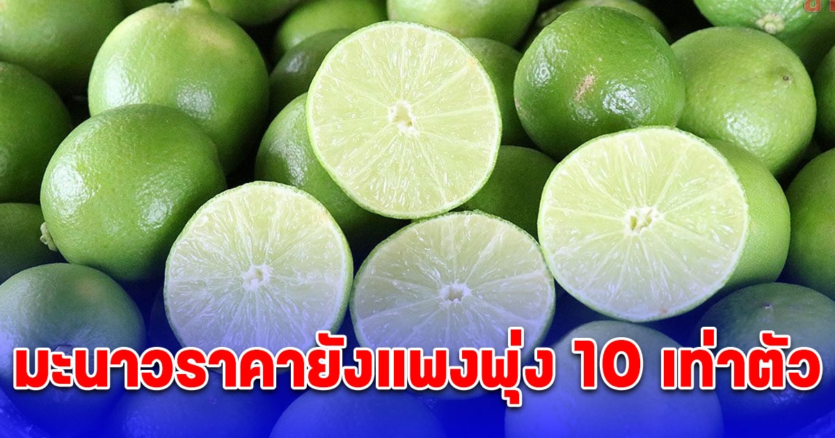 มะนาวราคายังแพงพุ่ง 10 เท่าตัว