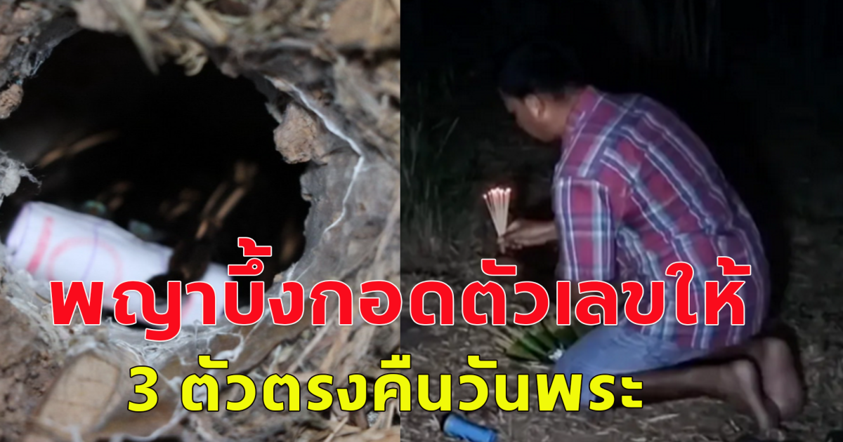 พญาบึ้ง กอดเลขขึ้นมาให้ 3 ตัว งวด 16 เม.ย.67