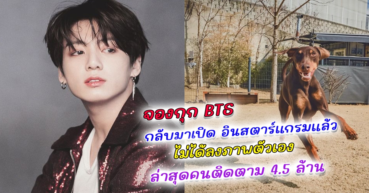 Jungkook BTS กลับมาเปิด Instagram อีกครั้ง ล่าสุดผู้ติดตามทะลุ 4.5 ล้าน เผยสาเหตุที่เคยปิด Instagram ทั้งที่มีผู้ติดตามกว่า 50 ล้านฟอลโลเวอร์