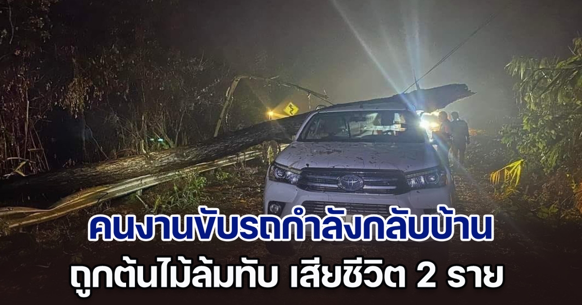 คนงานขับรถกำลังกลับบ้าน ระหว่างทางเจอฝนตกหนัก ถูกต้นไม้ล้มทับ เสียชีวิต 2 ราย