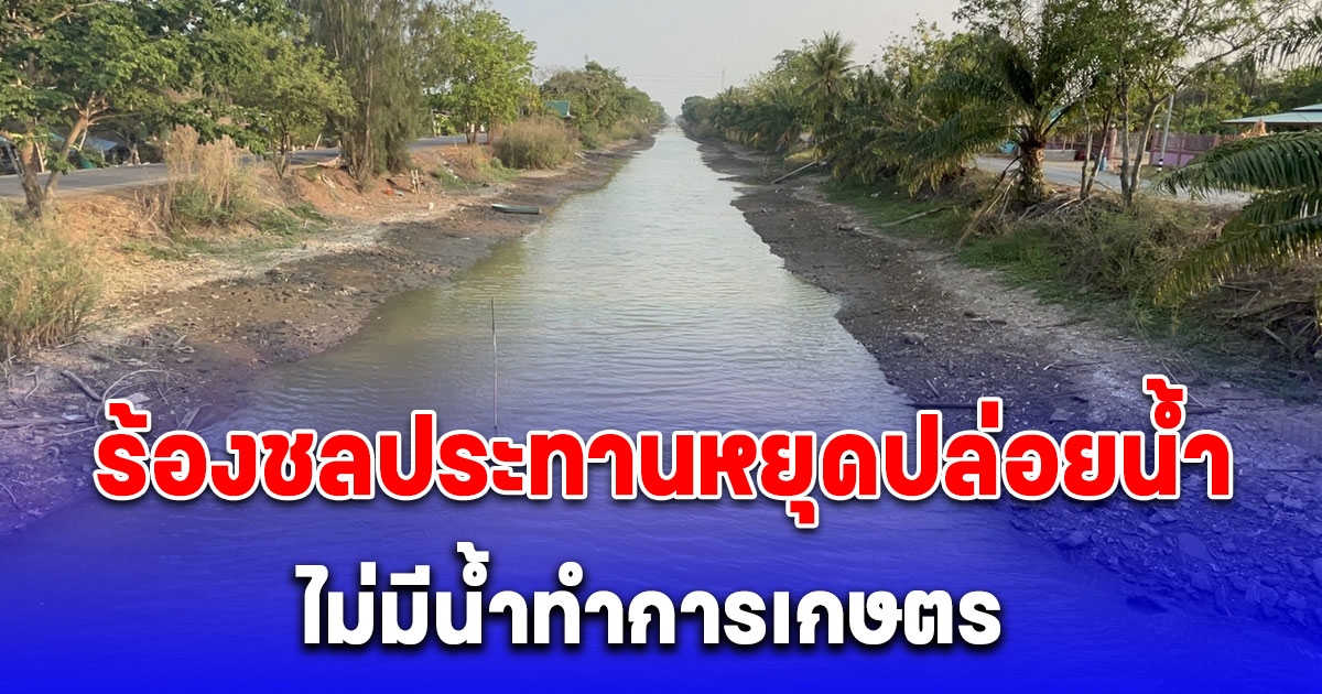 เกษตรกรกว่าร้อยรายสุดทน เดินทางเรียกร้องชลประทานหยุดปล่อยน้ำเพราะกระทบไม่มีน้ำทำการเกษตร