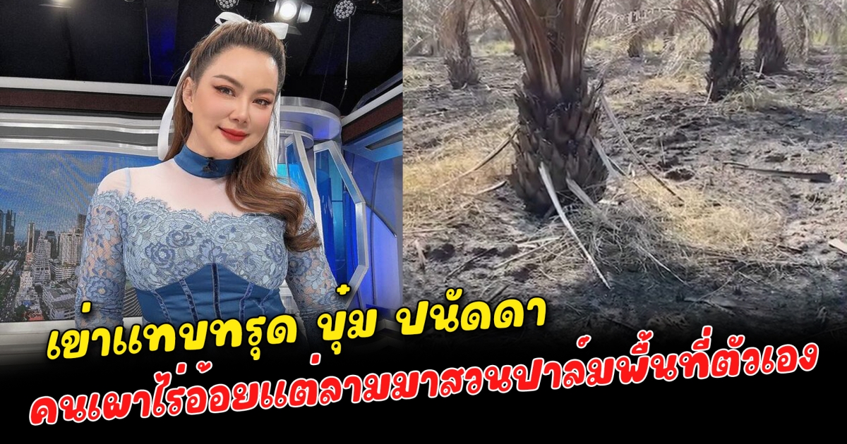 เข่าแทบทรุด บุ๋ม ปนัดดา โดนคนเผาไร่อ้อยแต่ลามมาสวนปาล์มพื้นที่ตัวเอง