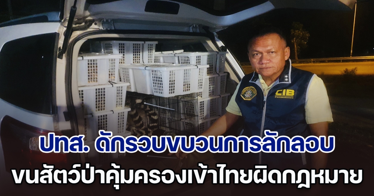 ปทส. ดักรวบ ขบวนการลักลอบขนสัตว์ป่าคุ้มครอง นำเข้าไทยแบบผิดกฎหมาย​