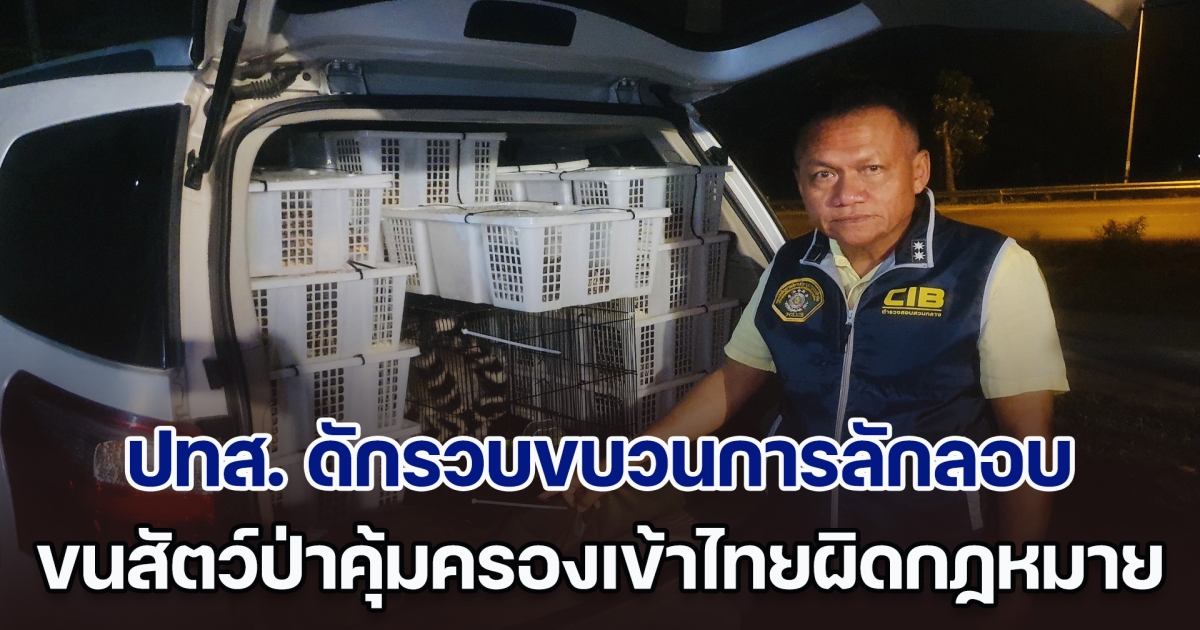 ปทส. ดักรวบ ขบวนการลักลอบขนสัตว์ป่าคุ้มครอง นำเข้าไทยแบบผิดกฎหมาย