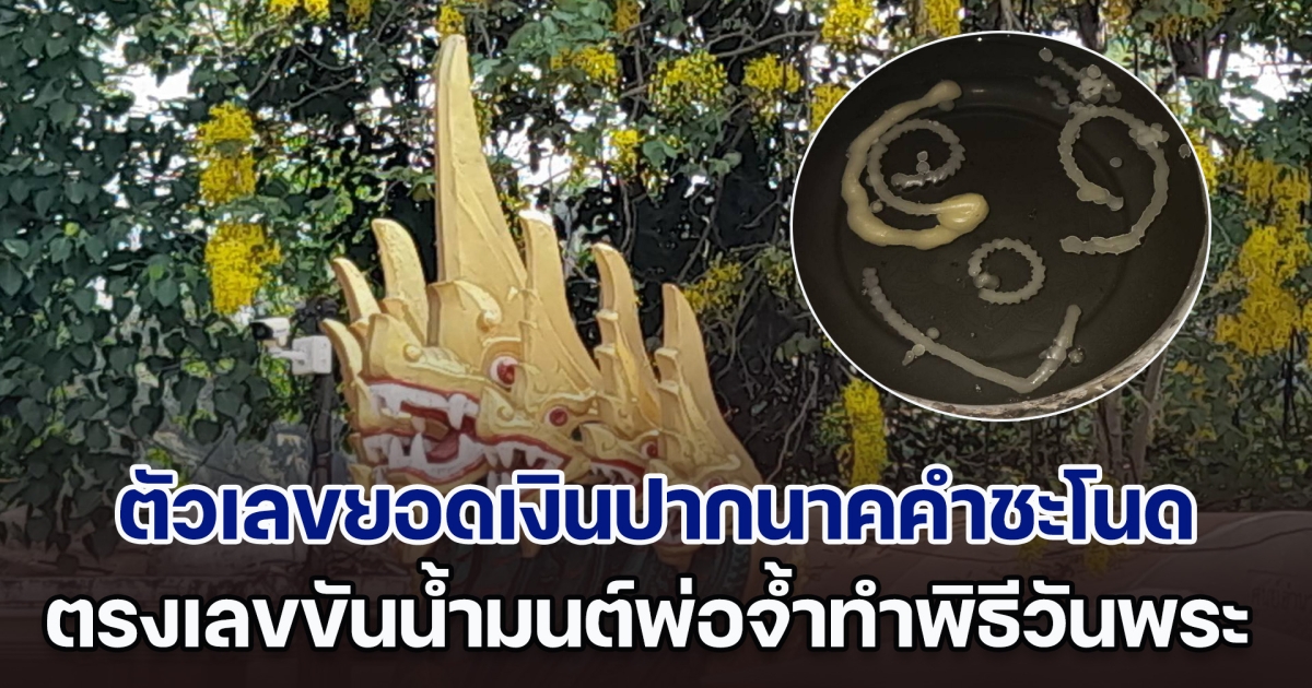 แปลกแต่จริง ตัวเลขยอดเงินปากนาคคำชะโนด ตรงกับเลขขันน้ำมนต์พ่อจ้ำทำพิธีวันพระ ที่ผ่านมาจะไม่พลาด