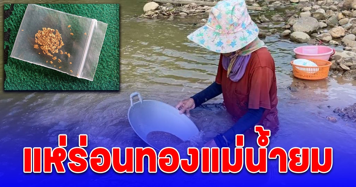 ชาวบ้านที่ศรีสัชนาลัย แห่ร่อนทองนพคุณ กลางแม่น้ำยม บอกหาได้เท่าไหร่ ร้านทองรับซื้อหมด ใครไม่มีอุปกรณ์ ก็ใช้กระทะแทน