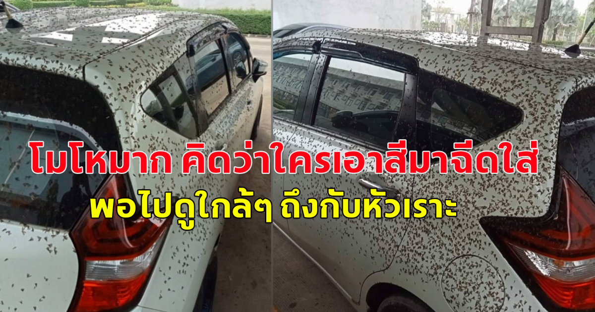 หนุ่มโรงงานโมโหมาก คิดว่าใครเอาสีมาป้ายรถ