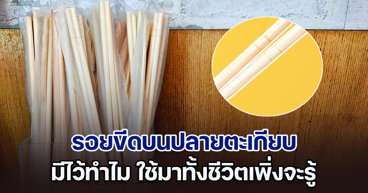 เฉลยแล้ว! รอยขีดบนปลายตะเกียบ มีไว้ทำไม ใช้มาทั้งชีวิตเพิ่งจะรู้