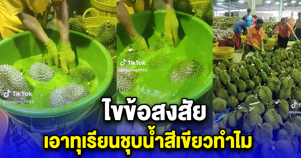 ไขข้อสงสัย เอาทุเรียนชุบน้ำสีเขียวทำไม