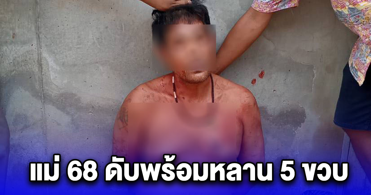 คลั่งลูกใช้ไม้คมแฝกตีแม่ 68 ดิ้นคาบ้าน ไม่พอลากหลาน 5 ขวบตีซ้ำดับคู่