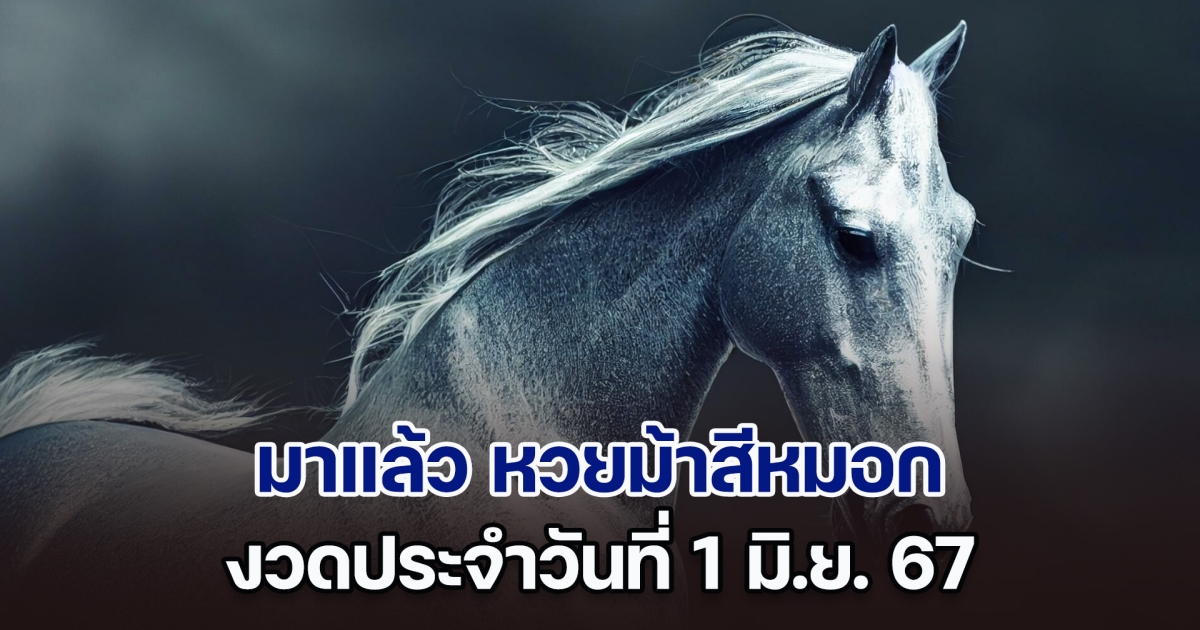 ควบมาแล้ว หวยม้าสีหมอก งวดวันที่ 1 มิ.ย. 67 หลังให้โชคมาแล้วหลายงวด