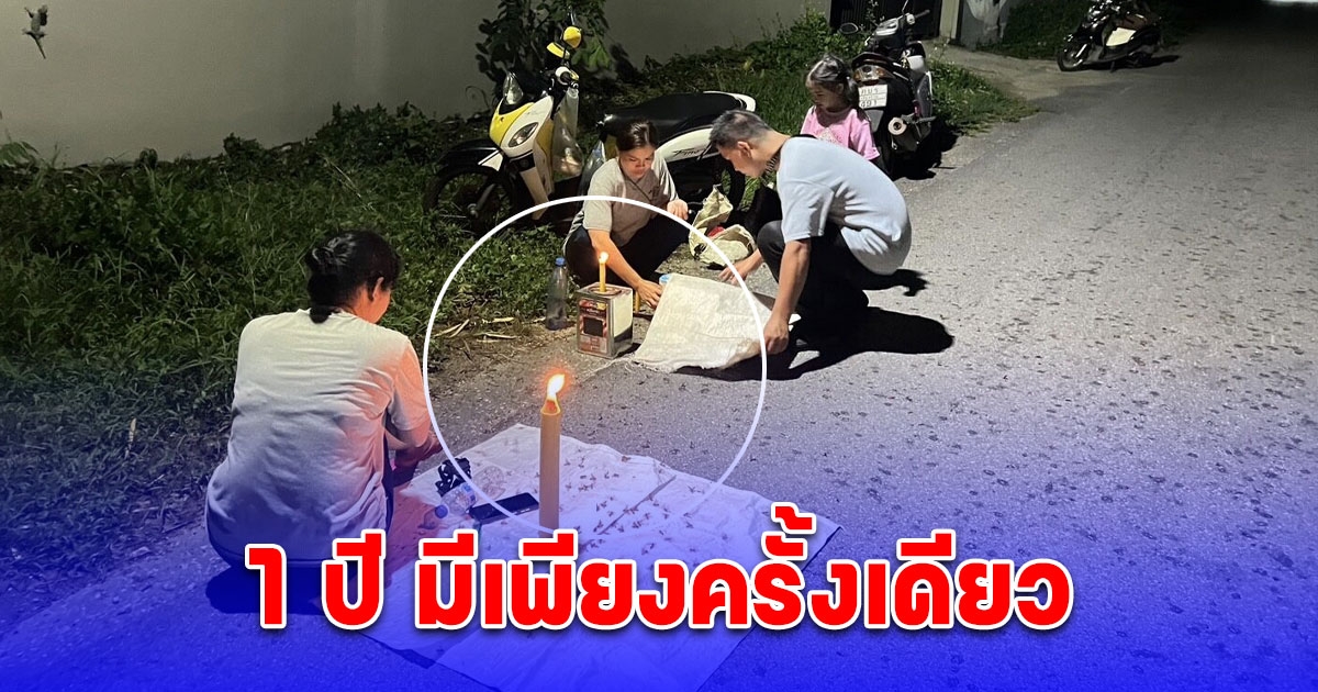 1 ปี มีเพียงครั้งเดียว ชาวบ้านแห่เก็บแมงมันขาย กิโลกรัมละ 2,000 บาท