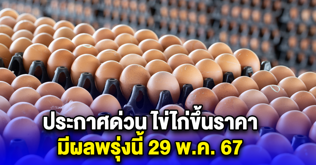 ประกาศด่วน ไข่ไก่ขึ้นราคา มีผลพรุ่งนี้ 29 พ.ค. 67