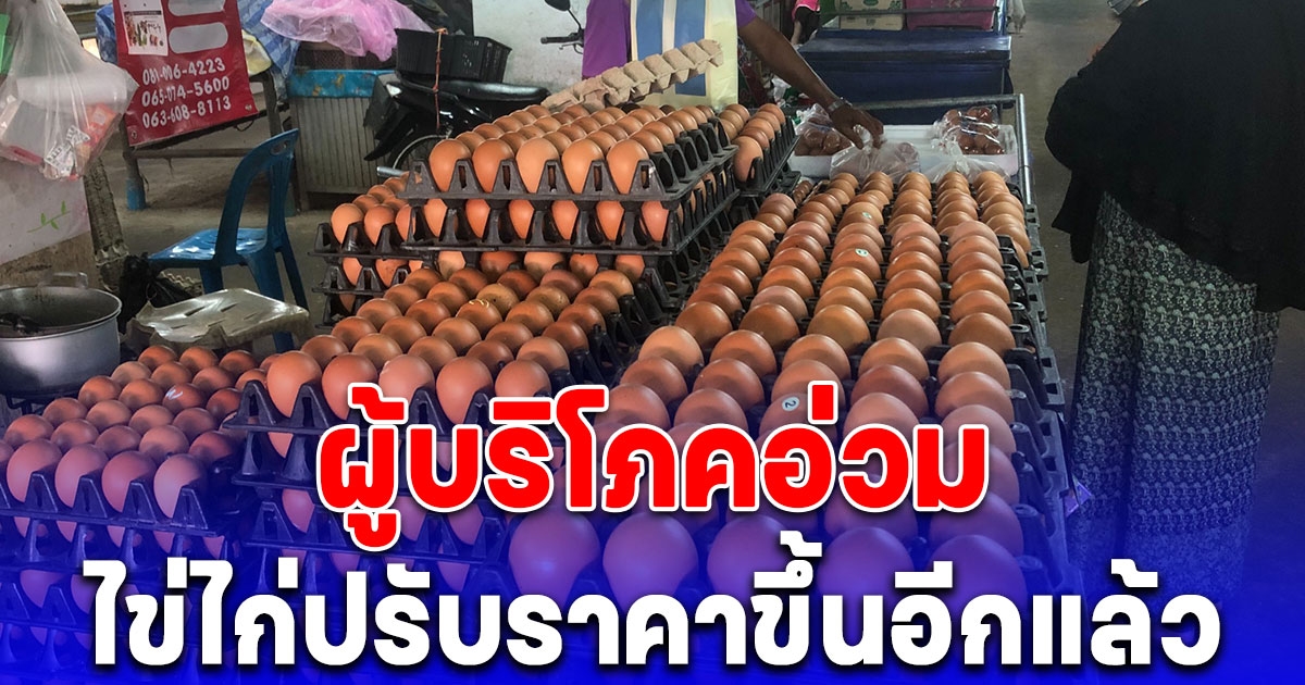 ผู้บริโภคอ่วม ไข่ไก่ปรับราคาขึ้น ชาวบ้านวอนรัฐคุมราคา