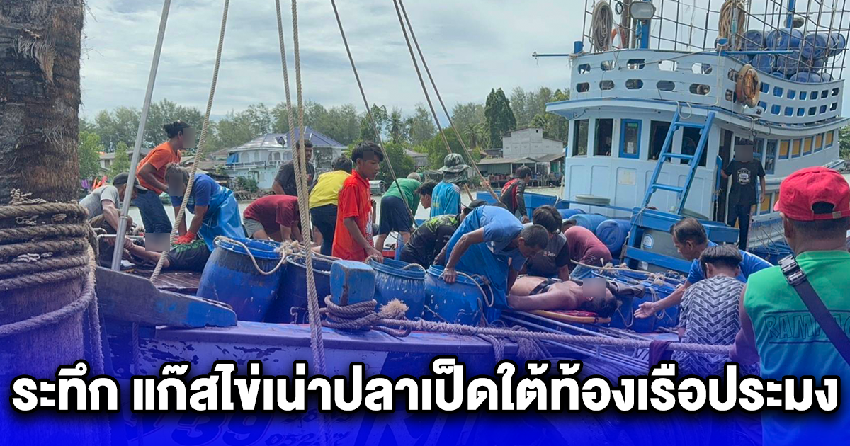 ระทึก แก๊สไข่เน่าปลาเป็ดใต้ท้องเรือประมง ลูกเรือประมงไทยและพม่าหมดสติ 11 ราย สาหัส 4 ราย