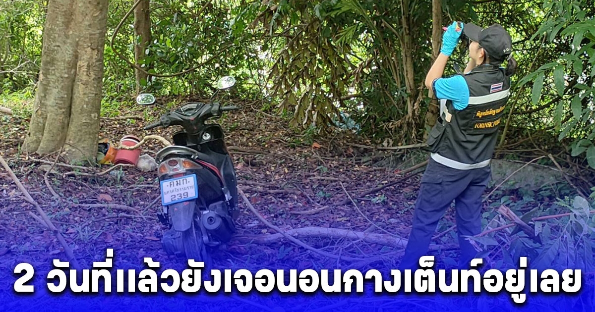 หนุ่มใหญ่จบชีวิตบนต้นกระท้อน คนงานเก็บขยะแทบช็อก 2 วันที่เเล้วยังเจอนอนกางเต็นท์อยู่เลย