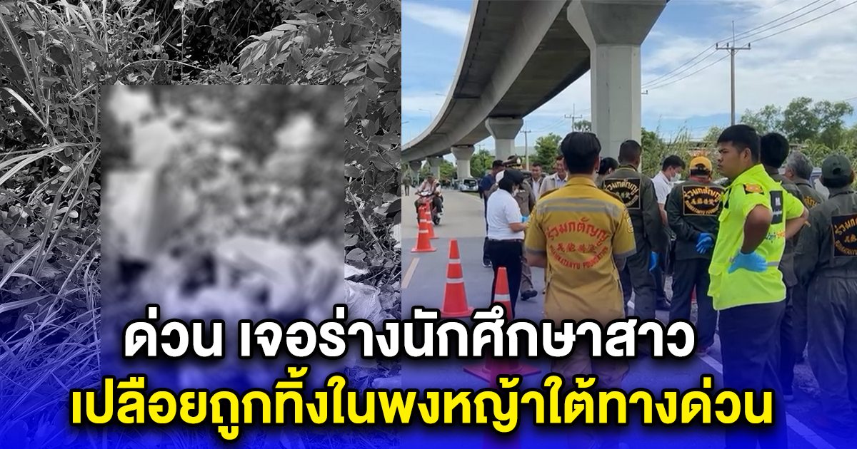 ด่วน เจอร่างนักศึกษาสาว เปลือยถูกทิ้งในพงหญ้าใต้ทางด่วน