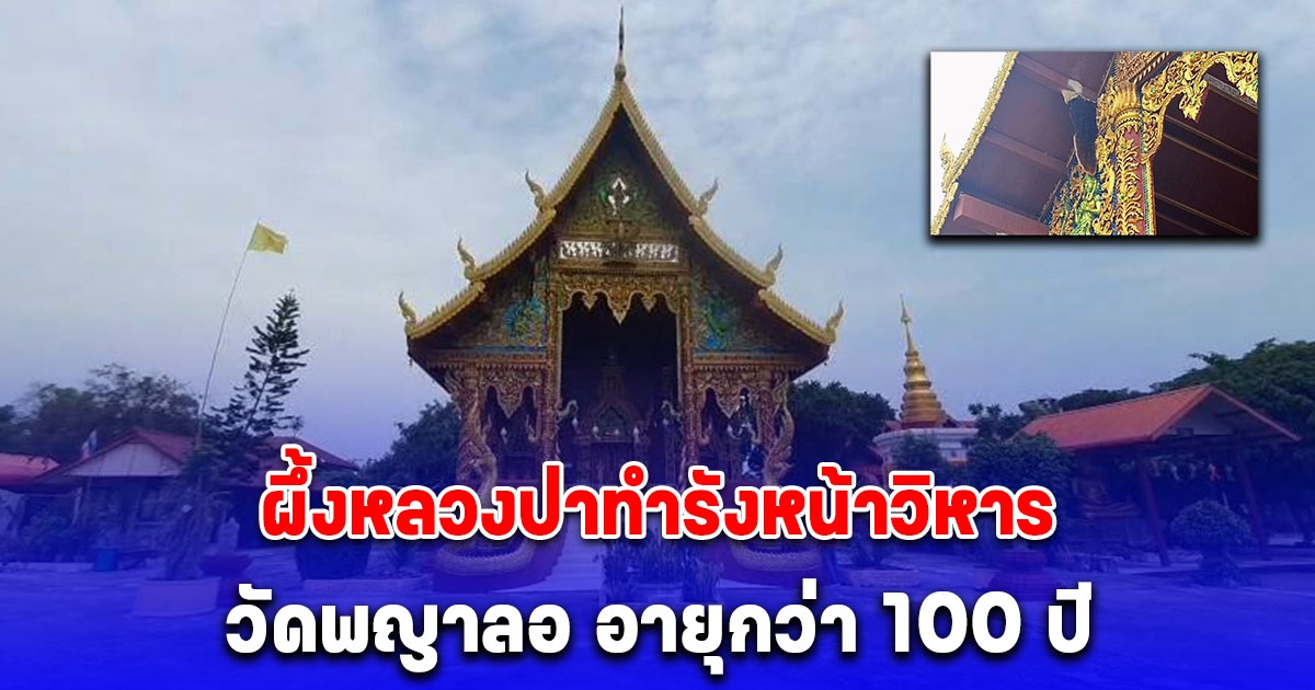 ฮือฮา ผึ้งหลวงป่าทำรังหน้าวิหาร วัดพญาลอ อายุกว่า 100 ปี