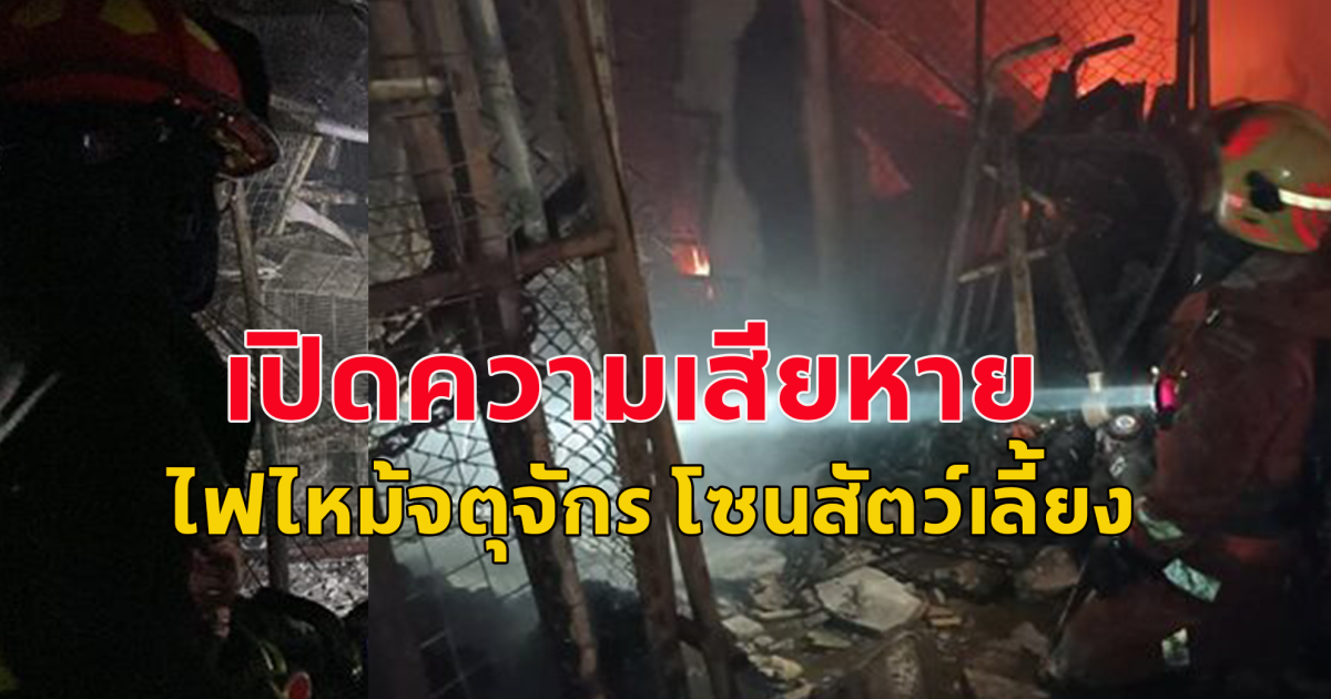 ความเสียหาย ไฟไหม้ ตลาดนัดจตุจักร โซนสัตว์เลี้ยง วอด118ร้านค้า