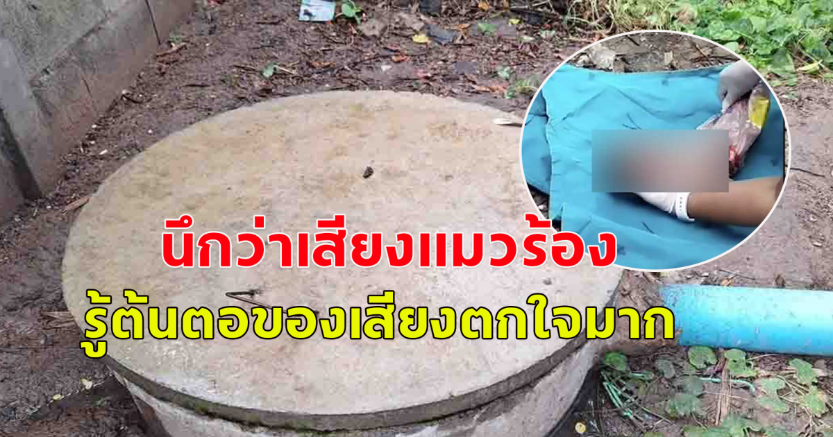 ชาวบ้านได้ยินเหมือนเสียงแมวร้อง เดินไปดูหลังบ้านรู้ต้นตอของเสียง ตกใจมาก