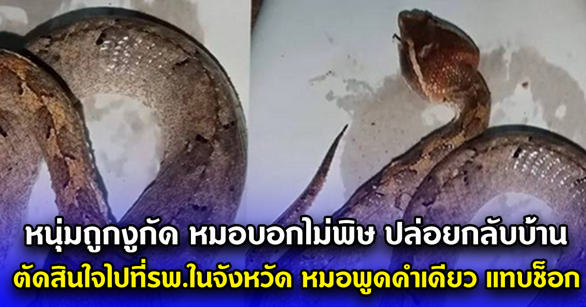 หนุ่มถูกงูกัด หมอบอกไม่มีพิษ ปล่อยกลับบ้าน กลางดึกตัดสินใจขับรถรักษาตัวที่รพ.ในจังหวัด หมอพูดคำเดียว แทบช็อก
