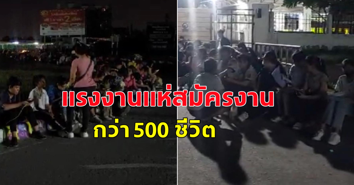 กว่า 500 ชีวิต มารอต่อคิวสมัครงานหน้าบริษัท