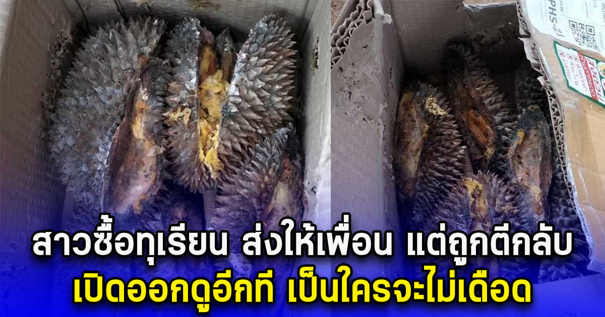 สาวซื้อทุเรียนหลงลับแล ส่งให้เพื่อน แต่ถูกตีกลับ เปิดออกดูอีกที เป็นใครจะไม่เดือด