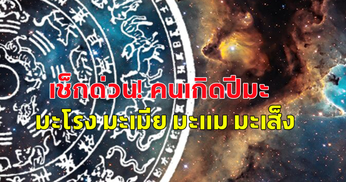 คนปีมะ มะโรง มะเมีย มะแม มะเส็ง เดือนนี้ เช็กด่วน