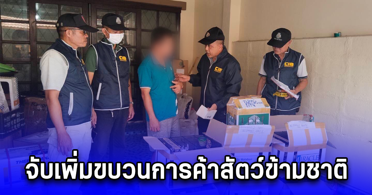 จับเพิ่มขบวนการค้าสัตว์ข้ามชาติ จ่อส่งประเทศเพื่อนบ้าน