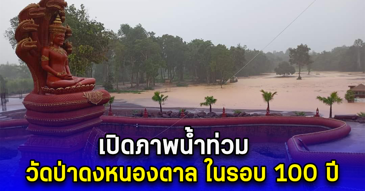 เปิดภาพน้ำท่วม วัดป่าดงหนองตาล ในรอบ 100 ปี