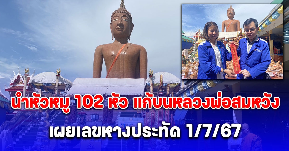 สาวเมืองกาญนำหัวหมู 102 หัว แก้บนหลวงพ่อสมหวัง หลังได้รับงานเขียนแบบก่อสร้างงานใหญ่โครงการรัฐ