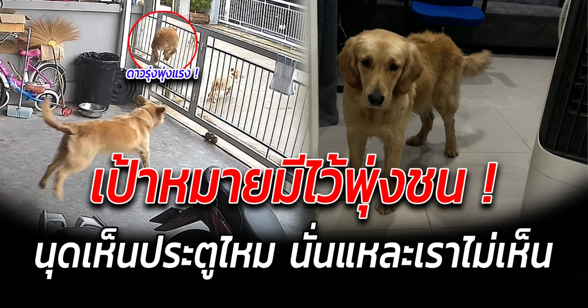 เป้าหมายมีไว้พุ่งชน นุดเห็นประตูไหม นั่นแหละเราไม่เห็น