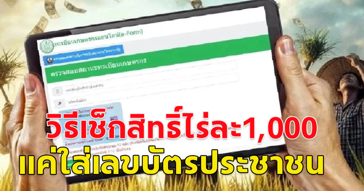 วิธีเช็กสิทธิเงินไร่ละ 1,000 ผ่านเว็บไซต์ chongkho.inbaac.com