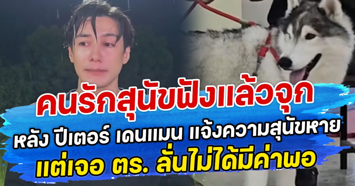 คนรักสุนัขฟังแล้วจุก หลัง ปีเตอร์ เดนแมน แจ้งความสุนัขหาย แต่เจอ ตร. ลั่นไม่ได้มีค่าพอ
