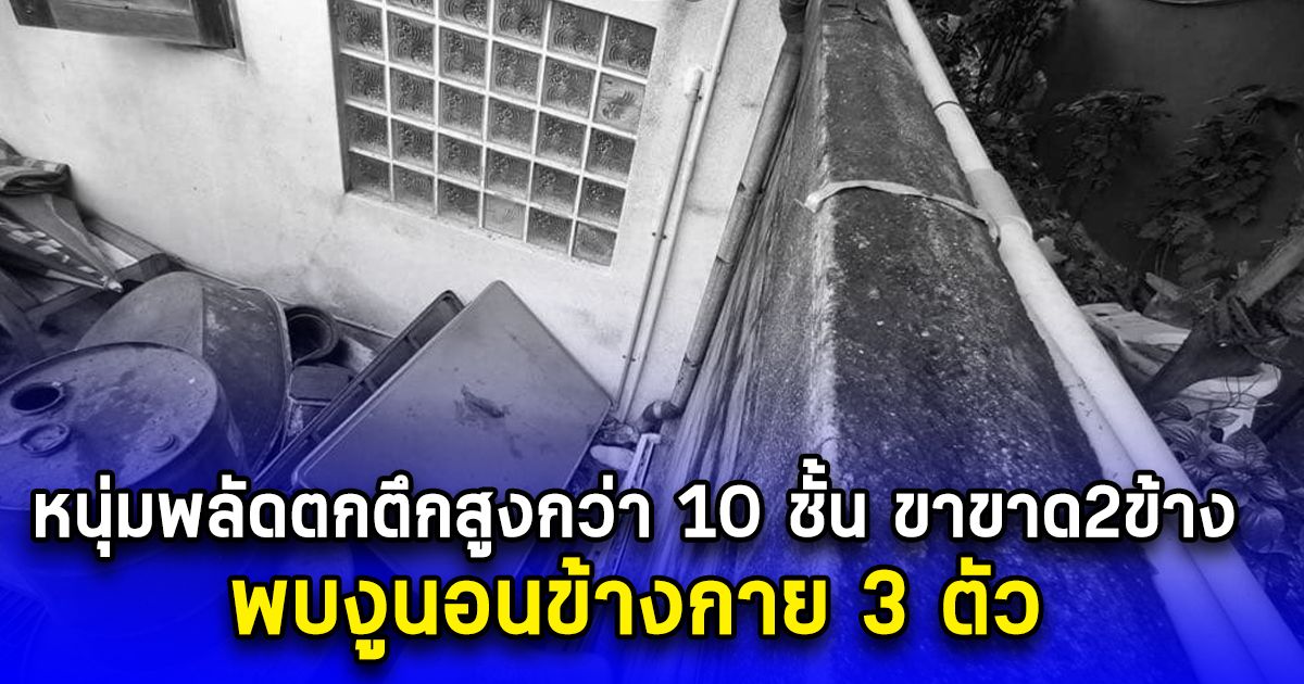 หนุ่มพลัดตกตึกสูงกว่า 10 ชั้น ขาขาด2ข้าง พบงูนอนข้างกาย3ตัว