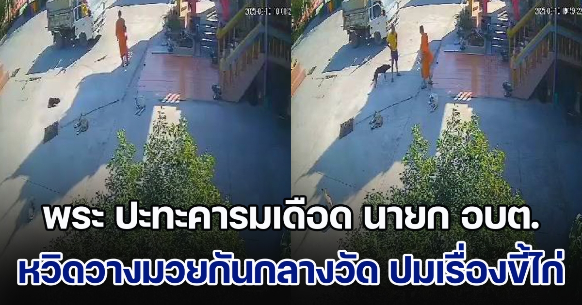 พระ ปะทะคารมเดือด นายก อบต. หวิดวางมวยกันกลางวัด ปมเรื่องเหม็นขี้ไก่