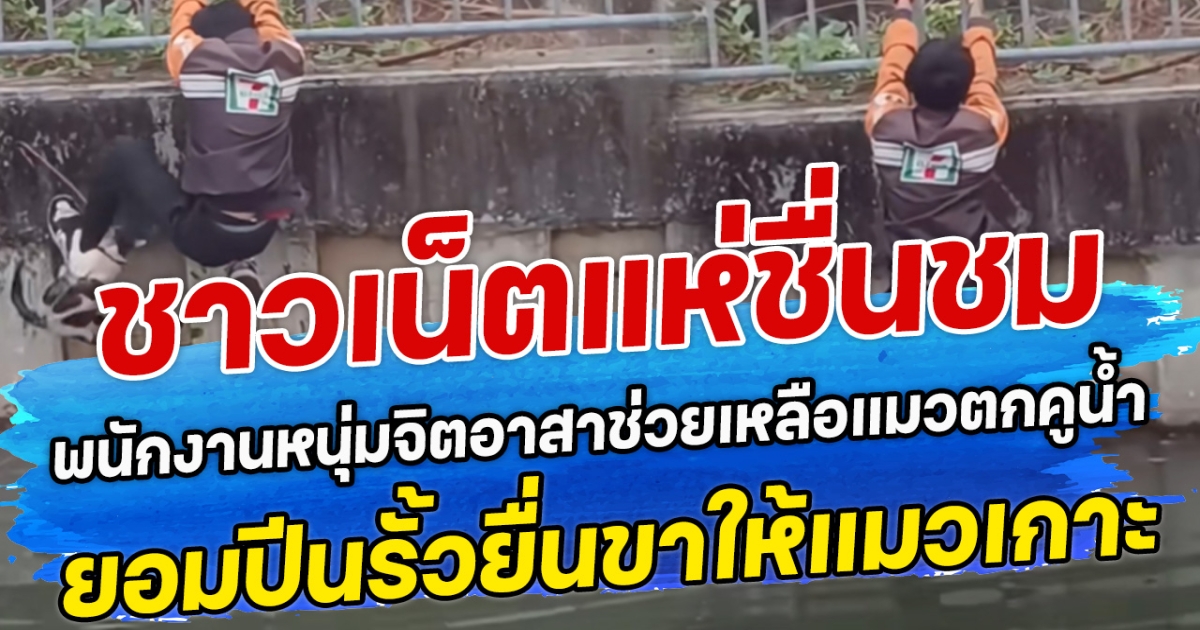 ชาวเน็ตแห่ชื่นชม พนักงานหนุ่มจิตอาสาช่วยเหลือแมวตกคูน้ำ ยอมปีนรั้วยื่นขาให้แมวเกาะ