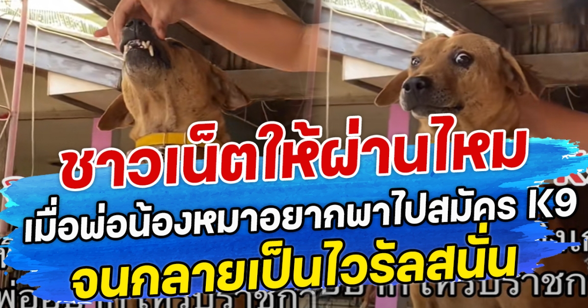 ชาวเน็ตให้ผ่านไหม เมื่อพ่อน้องหมาอยากพาไปสมัคร K9 จนกลายเป็นไวรัลสนั่น
