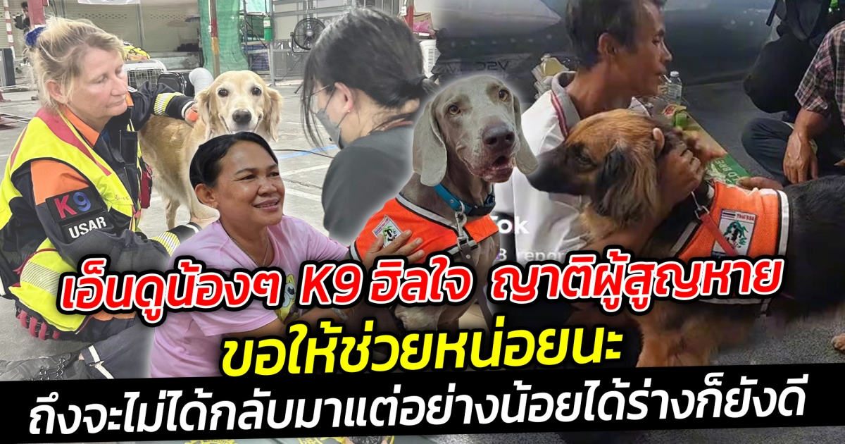 เอ็นดูน้องๆ K9 ฮิลใจ ชาวบ้านขอให้ช่วยหน่อยนะ ถึงจะไม่ได้กลับมาแบบมีลมหายใจ แต่อย่างน้อยได้ร่างกลับไปที่บ้านก็ยังดี