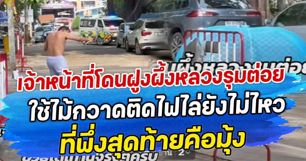 เจ้าหน้าที่โดนฝูงผึ้งหลวงรุมต่อย ใช้ไม้กวาดติดไฟไล่ยังไม่ไหว ที่พึ่งสุดท้ายคือมุ้ง
