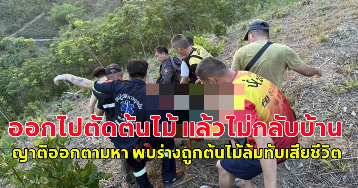 ตำรวจดวงถึงฆาต ตัดต้นไม้ล้มทับตัวเองเสียชีวิตกลางสวน